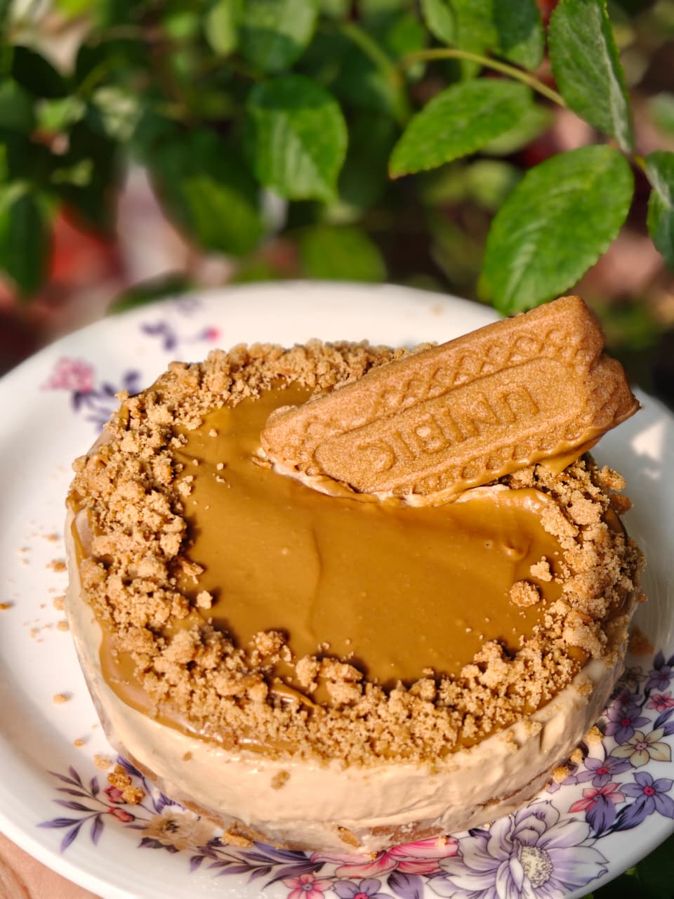 Biscoff Cheesecake